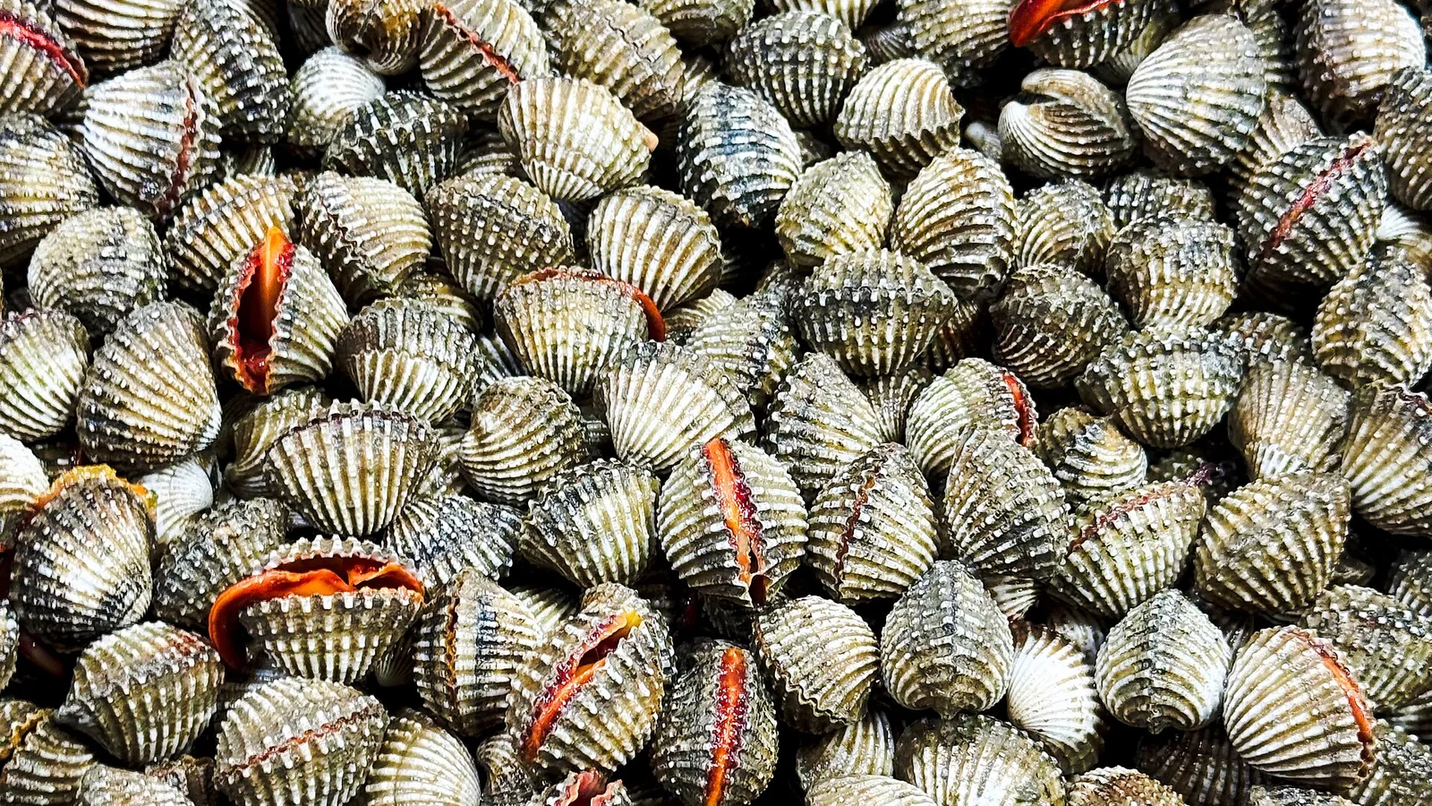 Where to eat seafood in Pattaya